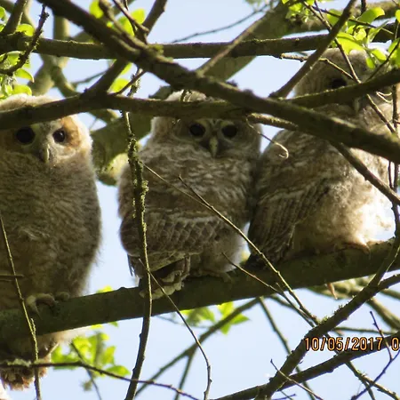 شقة Rhoenbergblick