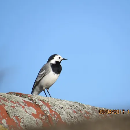 Rhoenbergblick شقة *