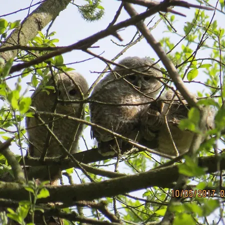 Rhoenbergblick شقة Oberweid