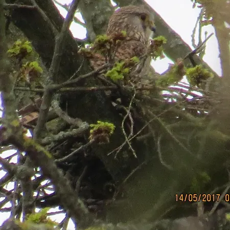 شقة Rhoenbergblick *