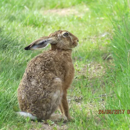 Rhoenbergblick Oberweid