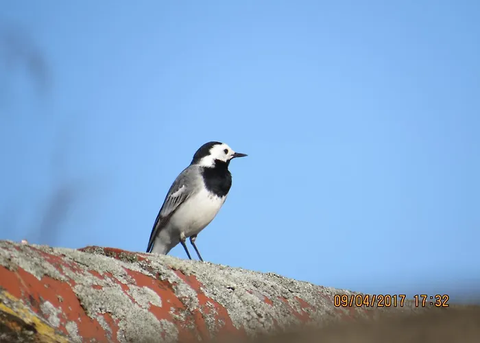 Rhoenbergblick Daire *