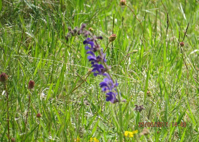 Rhoenbergblick Daire *
